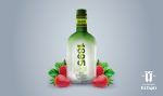 Gin 1895 0,7L 40º - Imagen 3